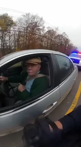 #hotdog #trafficstop #police #fyp 