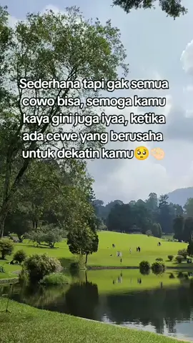 #pyp #sorotantiktok #katasetorywaa #jangkawanluas #