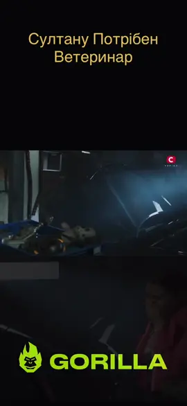 Пес захворів  #стопосто #спійматикайдаша #фільми 