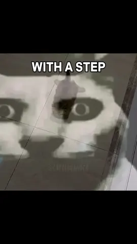I’M TAKING A CHANCE ’CAUSE I LIKE YOU A LOT 🗣️ 🗣️ 🗣️😽😽#cats #cattok #catsoftiktok #cattok #animegirl 