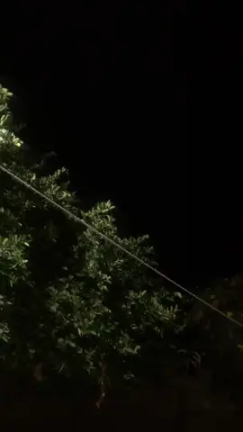 Dhacdooyinka sidooda muhiimada la siiyo uma laha ee cidda ay kaaga imanayaan ayaa muhiimadda dhabta ah ee ay kula yeelanayaan u samaysa.❤️