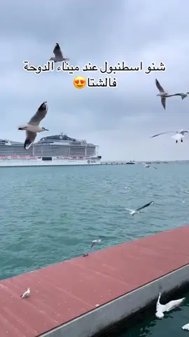 #مينا_حمد_قطر_🇶🇦  #اكسلبورر_explore  #شعب_الصيني_ماله_حل #قطر_الدوحة🇶🇦 #