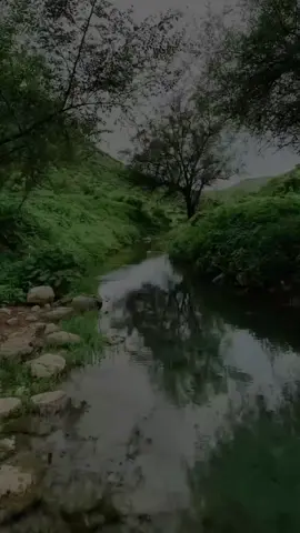 #إسلاميات #نصائح #دعاء #التقويم_اليومي 