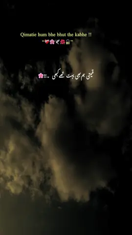 قیمتی ہم بھی بہت تھے کبھی پھر عام ہوگئے 🫠💔#fyp #1millionaudition #foryoupage #grow #account @TikTok 