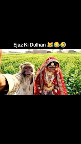 Ejaz Ki Dulhan 🤣🤣😂😹 #trend #monkeyvlog #funny #viral #fyp 
