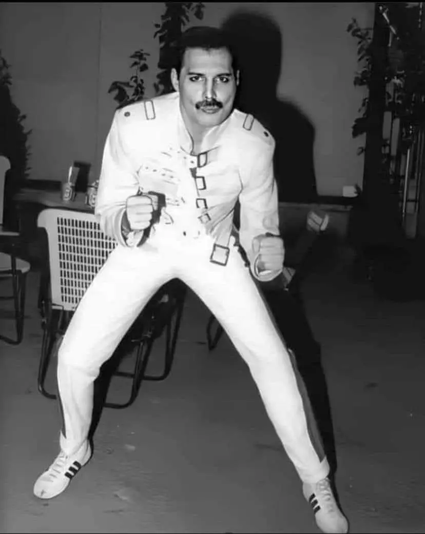 Freddie Mercury rimane una delle figure più coinvolgenti della storia della musica, un uomo la cui presenza ha ridefinito cosa significasse essere una rock star. La sua voce potente, il comando scenico senza pari e la visione artistica hanno trasformato i Queen in una delle band più innovative di tutti i tempi. Ogni esibizione che ha dato si sentiva più grande della vita - non solo cantava canzoni, le abitava con emozioni, dramma ed eleganza. Fuori dal palco, Mercurio era un'anima complessa e riservata, bilanciando la sua appariscente persona pubblica con momenti di introspezione e vulnerabilità. La sua scrittura riflette questa dualità - canzoni come Somebody to Love e The Show Must Go On hanno rivelato la profondità della sua umanità, mentre Don't Stop Me Now e Killer Queen hanno celebrato il suo spirito esuberante. Anche decenni dopo la sua scomparsa, l'influenza di Freddie continua a ispirare generazioni di artisti e fan, dimostrando che la vera brillantezza non svanisce mai, ma diventa sempre più forte col tempo.  #freddiemercury👑❤️ 