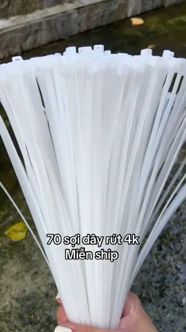 Dây rút nhựa shop đang được trợ giá