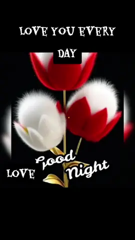 #Love #everyday #you #nightlife #night #nightcore #goviral #onthisday #bebecool #bigsize 