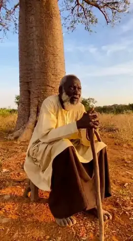 Tu as menti sur ton âge 😅 Maintenant les médicaments te prennent pas 😭Le vieux a parlé 🌳  #VieuxSousLeBaobab #HumourAfricain #TikTokBurkina #RéalitéAfricain 