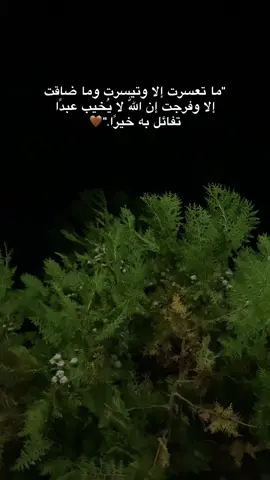 🤎...