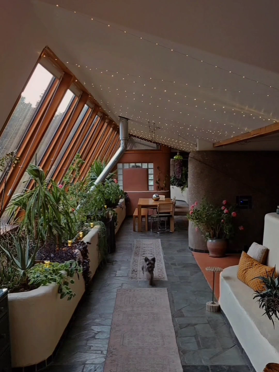 In honor of our house anniversary! We've been together for 3 years now! So many changes and still a big list of things to do, but love where we're at. 🥹❤️ #earthship #interiordesign #plantsoftiktok #plantmom #architecture 