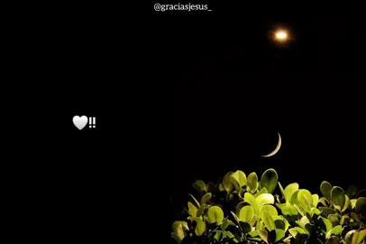 𝐌𝐢 𝐨𝐫𝐠𝐮𝐥𝐥𝐨 𝐦𝐞 𝐬𝐚𝐜𝐨 𝐝𝐞𝐥 𝐉𝐚𝐫𝐝𝐢𝐧🤍🙌🏽#alabanzas #alabanzas_cristianas #alabanzascristiana #musicacristiana #miorgullomesacodeljardín