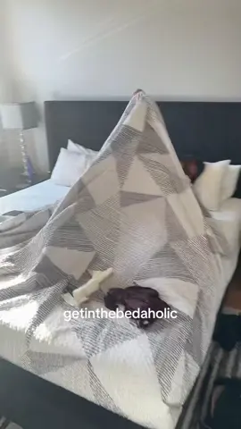 Nothing feels better 😭 #aholic #fyp #bedaholic #trending #napaholic 