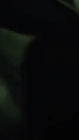 #chikh_krimo_s3idi #hakakhir44 #🍺🍻🥂🍷🥃🍸🍹🍾🍾🍾🍾🍾 