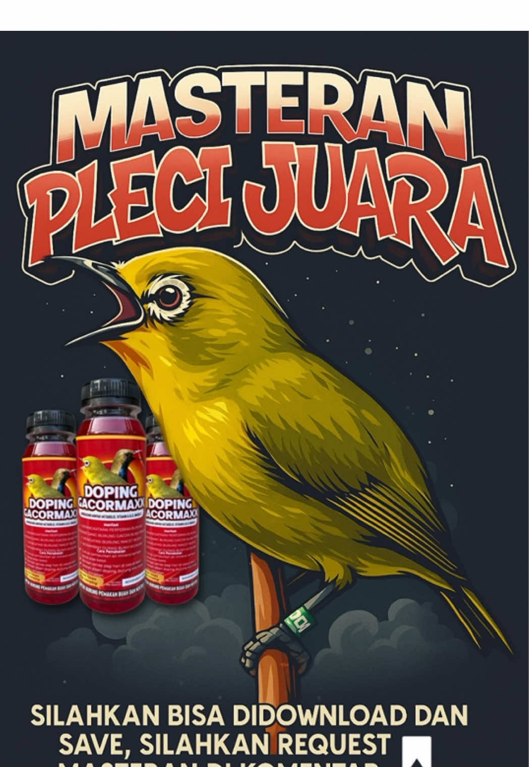 Masteran pleci juara mewah durasi panjang . Jangan lupa kasih doping GACORMAXX RED agar burung makin cerdas dan gacor 👍 #pleci #dopinggacormaxxred #kicaumania 