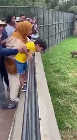 Não ignore Jesus ✝️ 