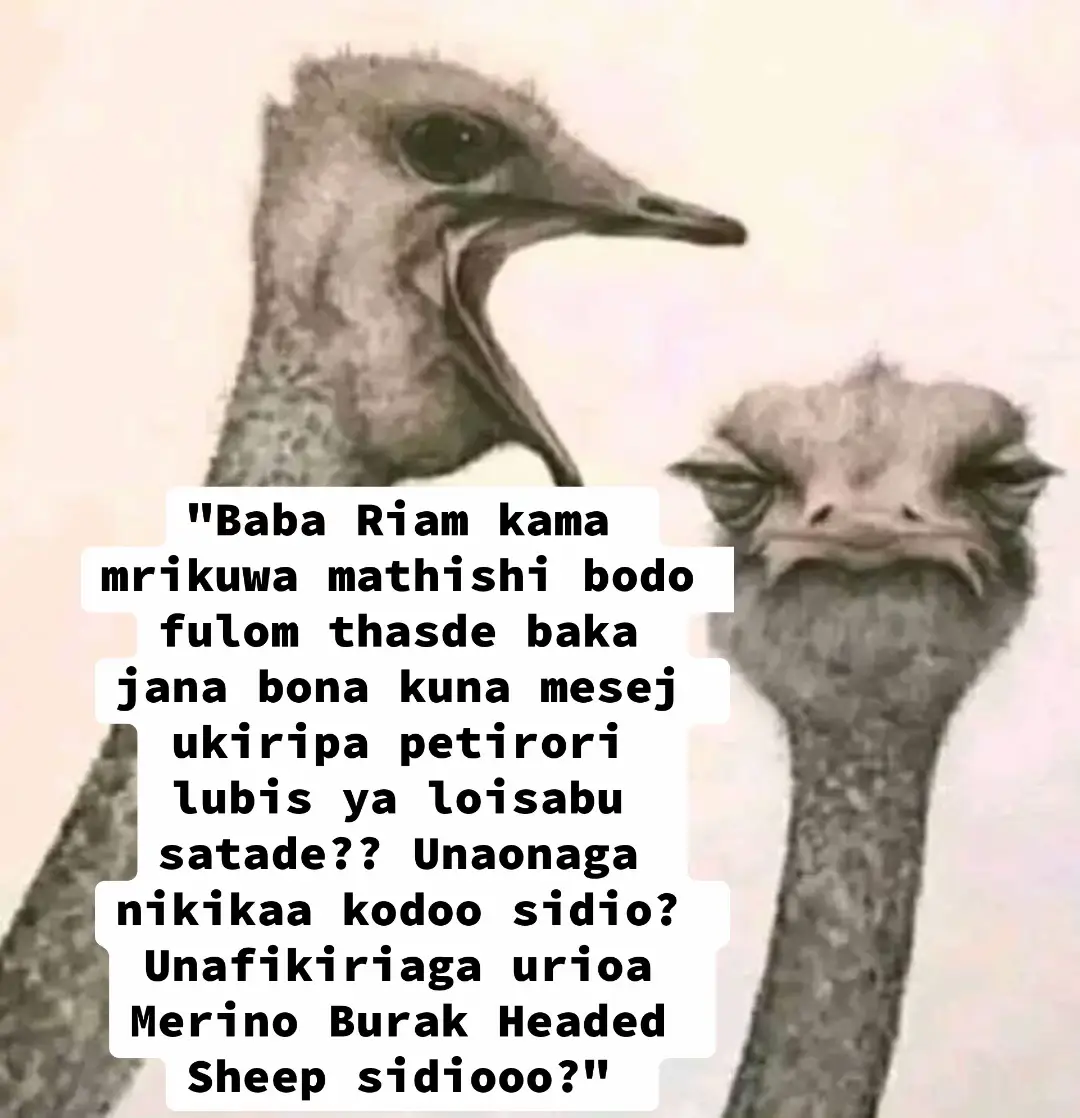 #🤣🤣🤣 #🤣🤣 #🤣🤣🤣🤣🤣🤣🤣🤣🤣🤣🤣🤣🤣🤣🤣🤣 #🤣🤣🤣🤣🤣🤣🤣🤣🤣🤣🤣🤣🤣🤣🤣🤣 