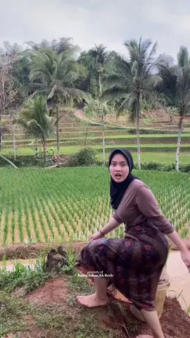 #gadisdesa #fyppp  pesona gadis desa petani di sawah  sahabat gadis desa #foryoupage❤️❤️ 