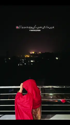 #fyp #daneenqureshi #1m 