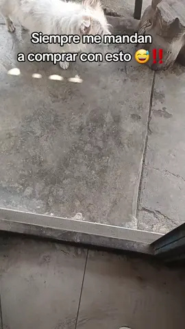 Etiqueta al olvidadizo para que se lo compre 😁 #llavero #grabadora #minigrabadora 