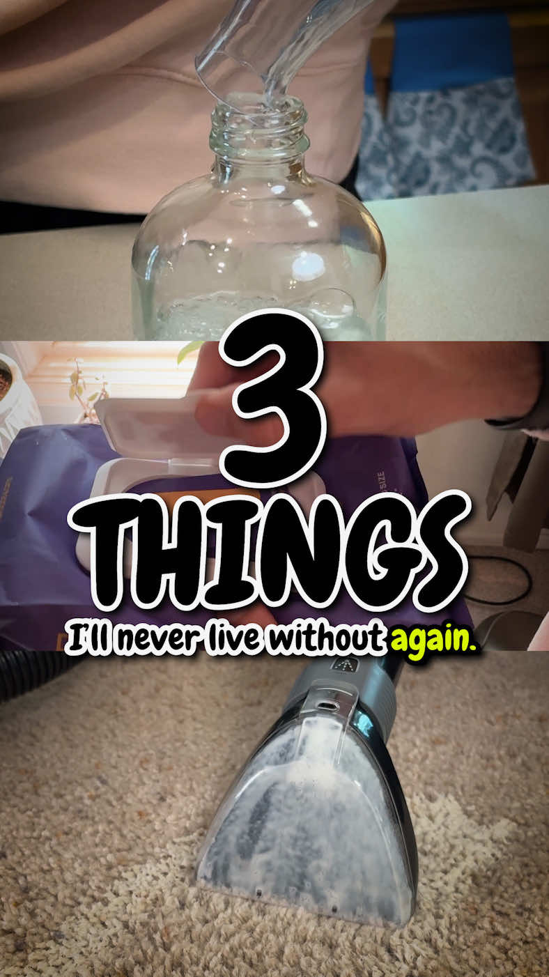 3 time-saving hacks for cleaning up dog accidents! What's your go-to cleaning routine for dog accidents? 👀🐾 #thebkpets