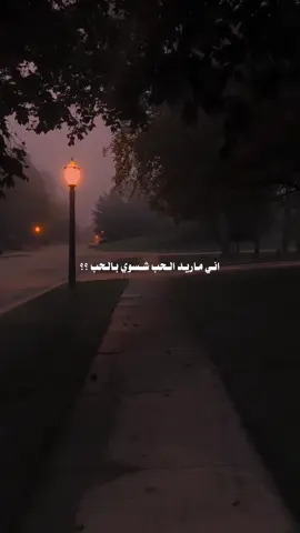 اني ماريد الحب شسوي بالحب؟!🤎 #عبارات #اقتباسات #الشعب_الصيني_ماله_حل😂😂 #fyp #تصاميم 