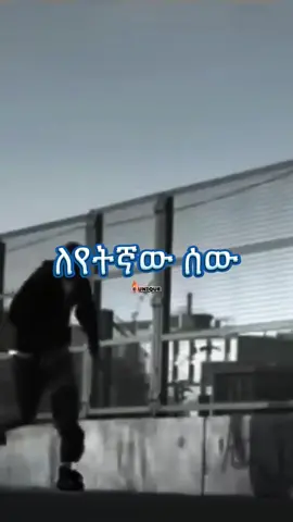 ለየትኛው ሰው @bertsega #fypシ゚viral #ethiopiviralatiktok #viralvideos #copylink #foryoupage #habeshaTiktok #hashtagstiktok #creatorsearchinsights 