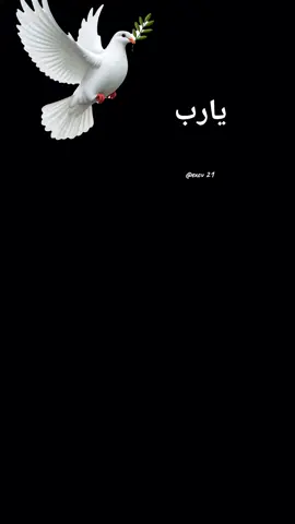 #دعاء_يوم_الاربعاء #اللهم_امين_يارب_العالمين #اكسبلورexplore #القران_الكريم #ادعية_اسلامية_تريح_القلب 