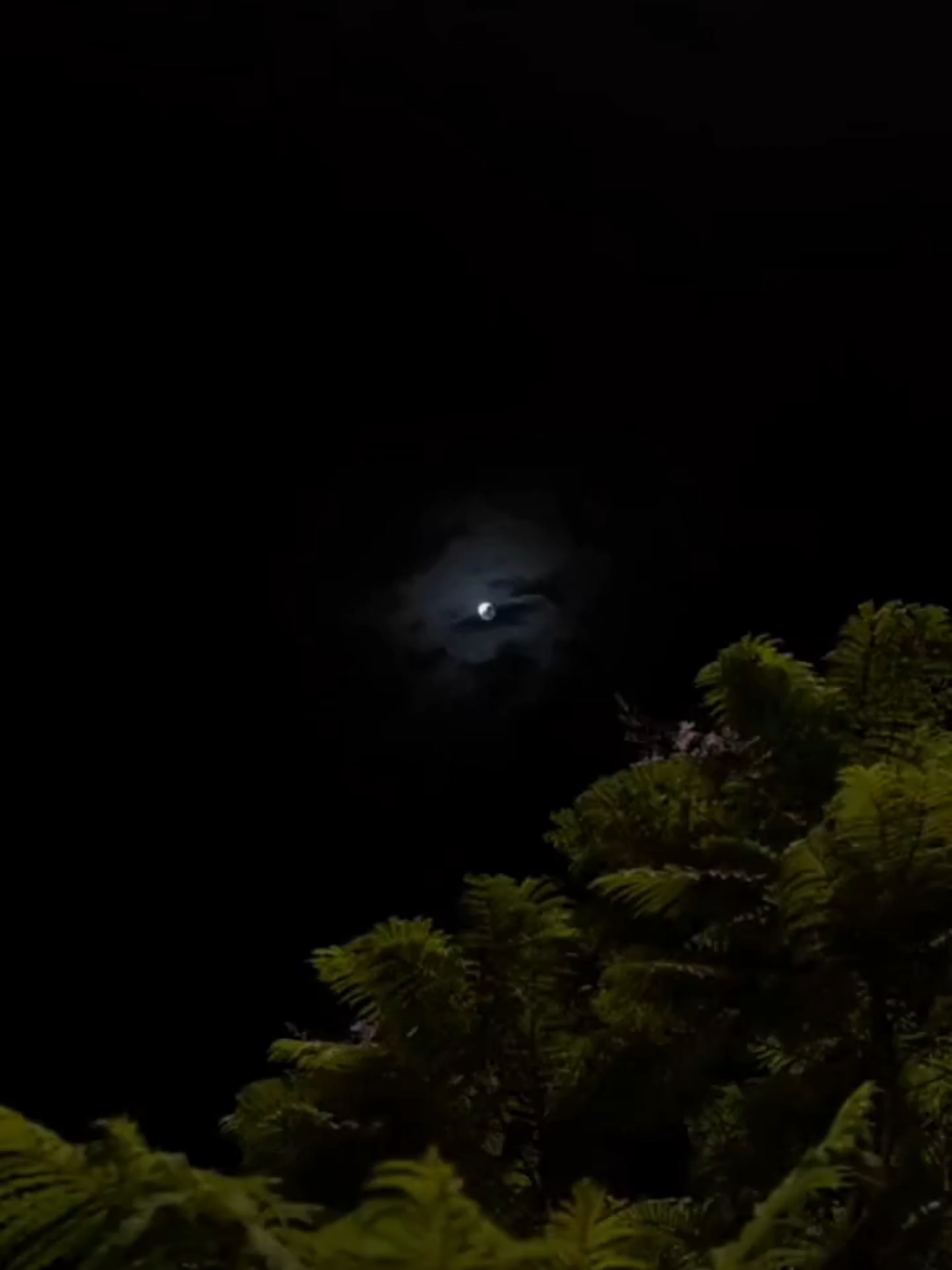 Ceux qui t’aiment vraiment… ne partiront jamais L’amour sincère ne s’explique pas, il se prouve… Par la patience, la foi et la présence, même quand tout s’effondre. #rappelislamique #amour #fyp #pourtoi #islamic_video #allah❤️ #rappels_islam #musulman #spirituel #couple#coeur#relation#sabr#patience#citation