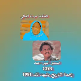 #حبسه_الشالي🎶 #جاهزيه_سرعه_حسم🔥✊🥀🇸🇩 #fyppppppppppppppppppppppp #fyppppppppppppppppppppppp 