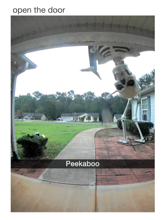 he just wanted to say hi 🩻  via Mike Wilt