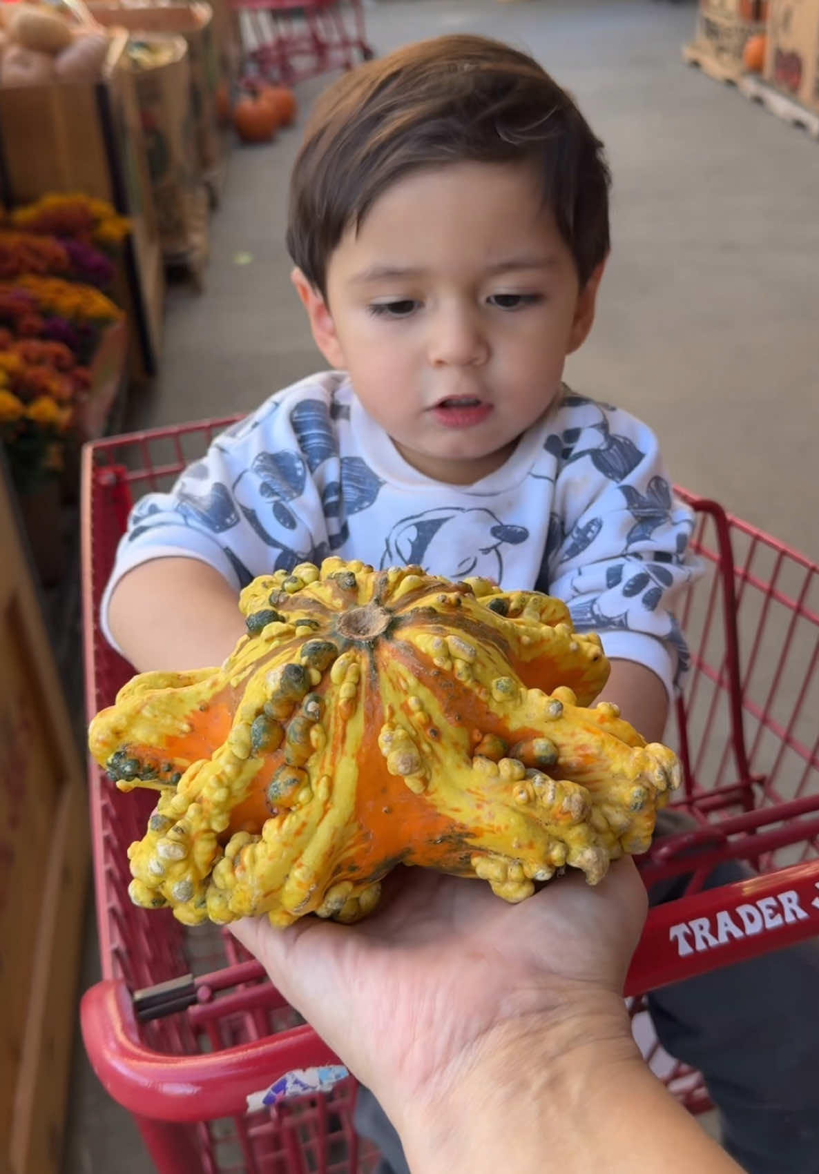 Spend the afternoon with me and Levi while we shop for pumpkins at Trader Joe’s #traderjoes #pumkin #momlife #baby #diml 