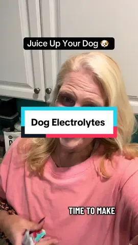 Juice up your pup! Now your dog can replace their electrolytes. Great for super active dogs or if your dogs have been sick this will help get their electrolytes replenished just like we do for people easy to mix up into a bowl for them to drink their own little juice And keep them hydrated.  I have it pinned for you below so get your dog, some electrolyte juice ##tiktokblackfriday ##tiktokcybermondaysale ##tiktokshopcreatorpicks ##dogelectrolytes