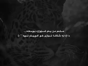 🐆#mzuri #barzani #iraq #tiktok #everyone 