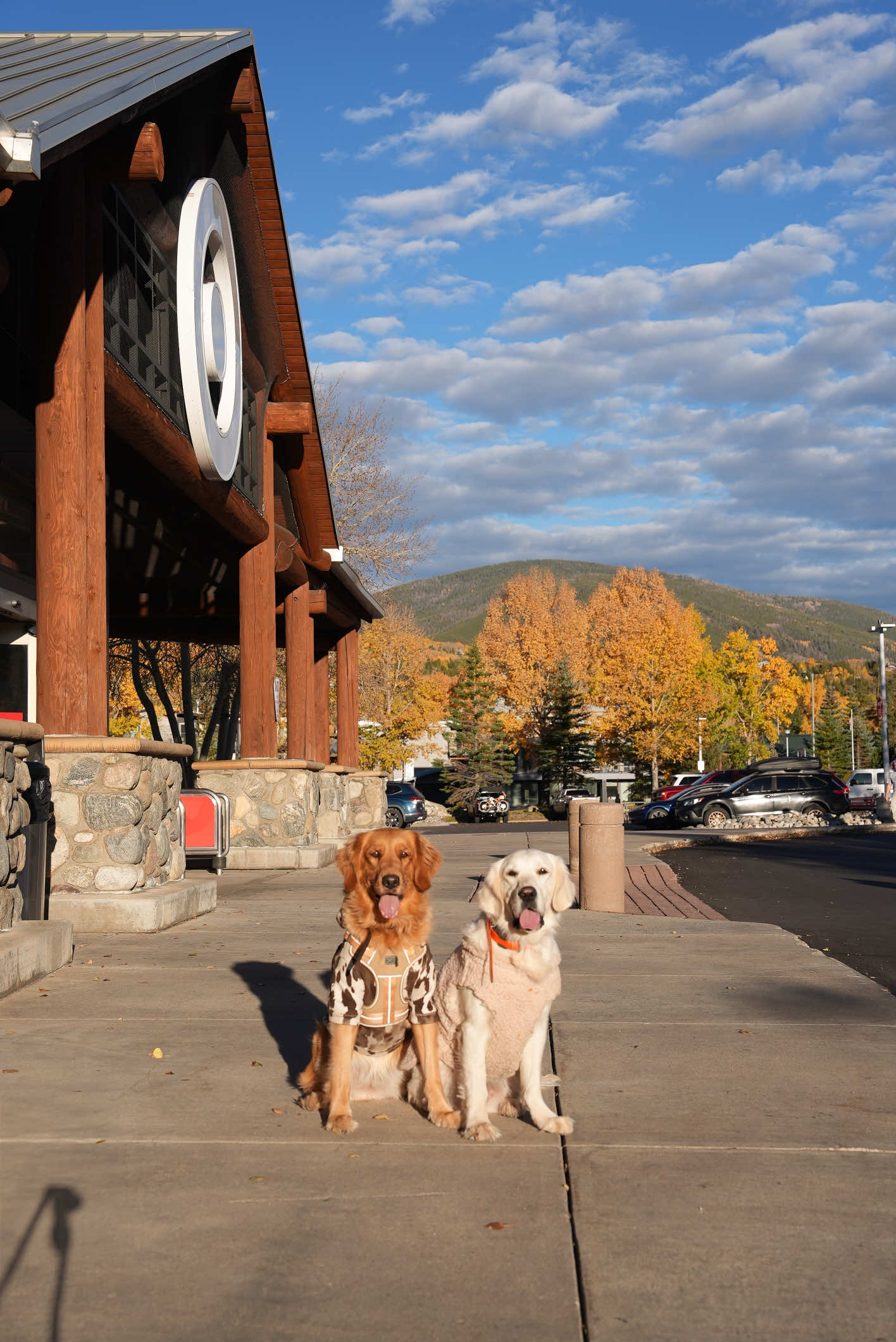 drive with us to Colorado 🍁🍂 we are leef peeping through small mountain towns 😍 