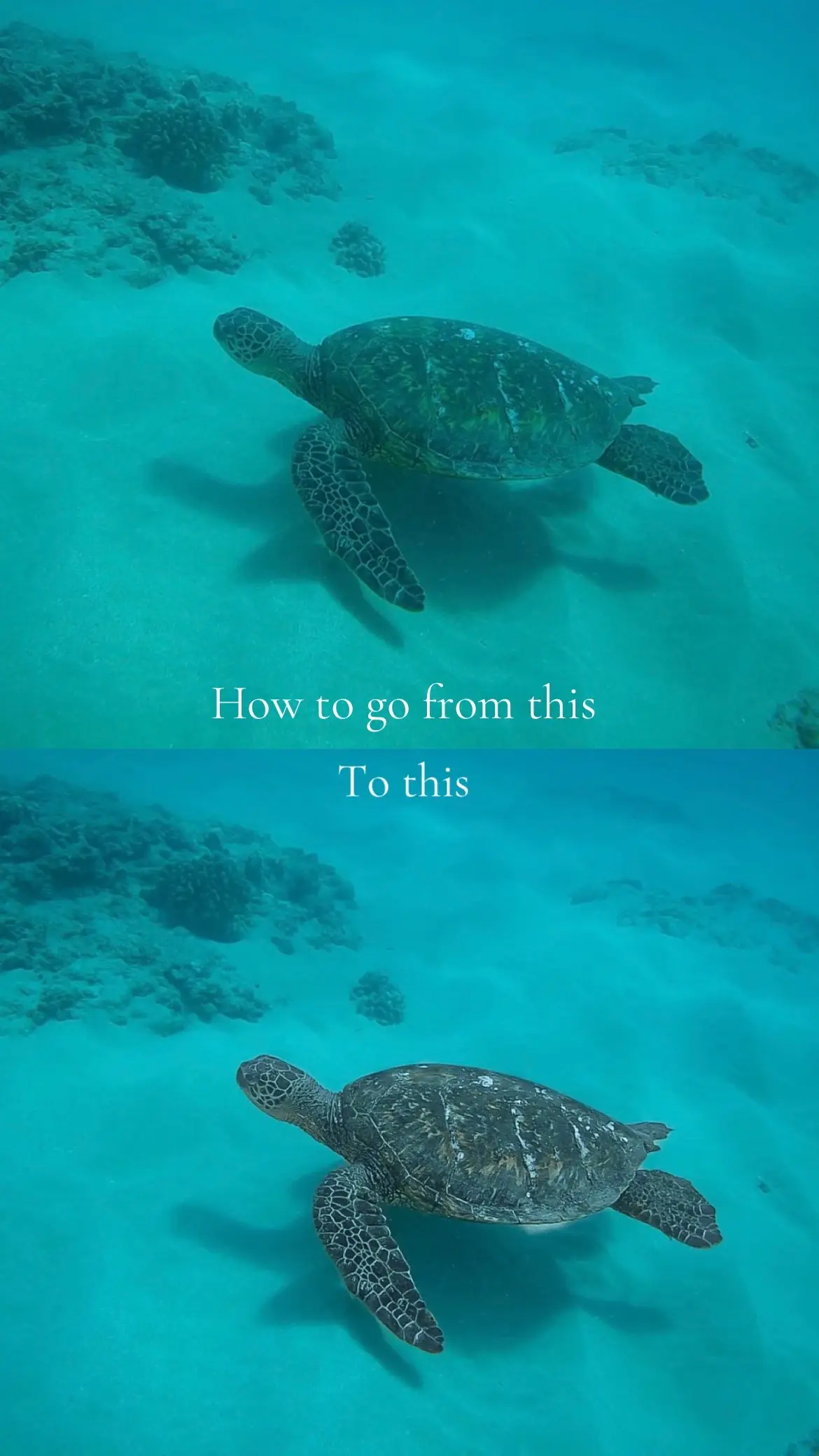 Give me tips #photoediting #photography #colorgrading #videography #cinematography 