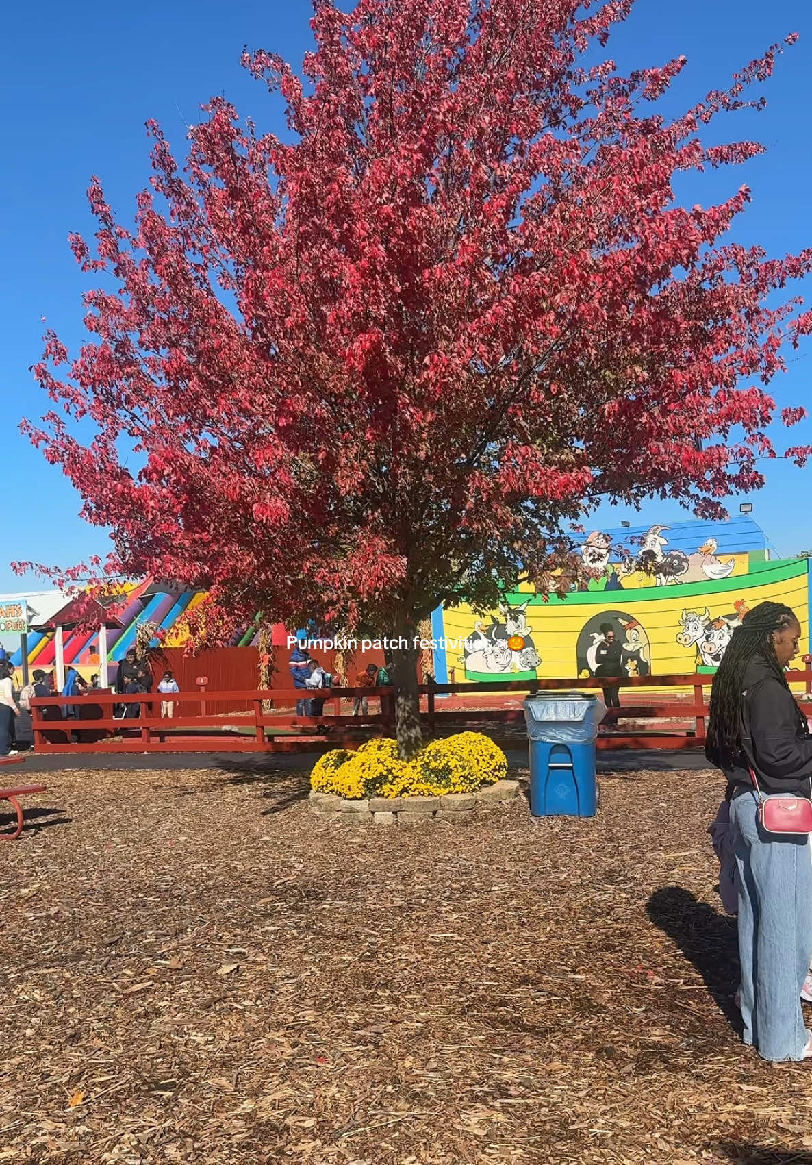 Pumpkin patch time  #fallfestivities #pumpkinpatch 