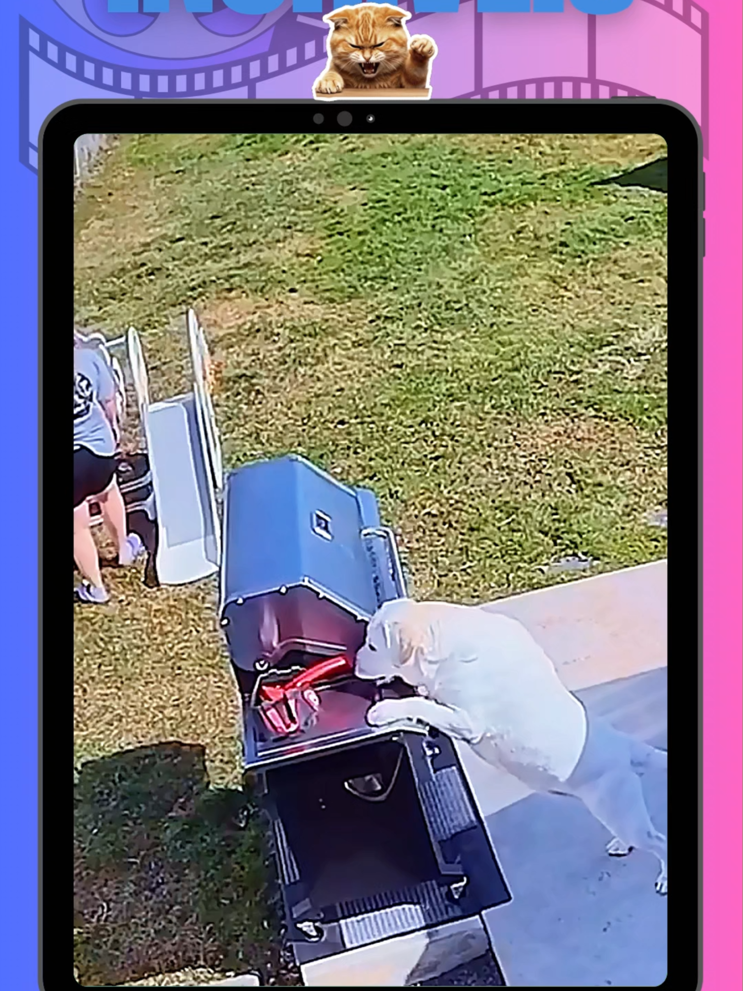 🤯 Vídeos incríveis… mas será que é realidade ou pura ficção? 👀✨  #VideosIncriveis #RealidadeOuFiccao #Mistério #Curiosidades #MindBlowing #Ilusao #Criatividade #Incrivel #viral