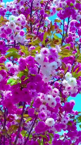 #إكسبلورر #DealsForYou #ofertasparati #القرآن_الكريم 