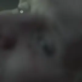 الذهبي ديمون😔. #ديمون_تارغاريان #daemontargaryen #houseofthedragon #هاوس_اوف_دراغون #targaryen 