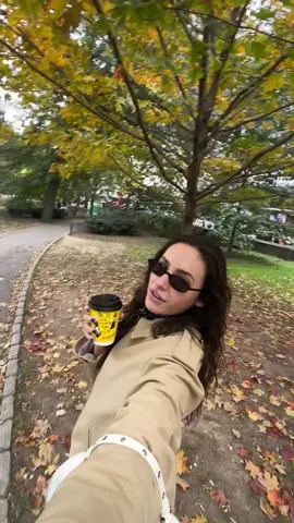 what a lovely fall day 