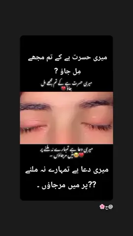 Imran Jan like follow Repost Comment Imran Jan sindhi sab fakher of king 👑👑👑👑👑👑👑👑👑👑👑👑👑👑👑 👑👑