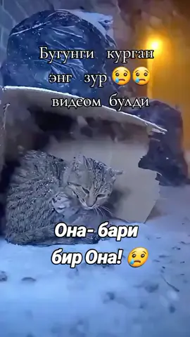 #рекомендации #re 