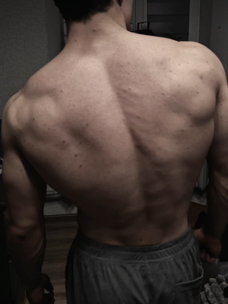 calisthenics body.. achievable from pull-ups and dips. #calisthenics #GymTok #muscles #viral #fyp 