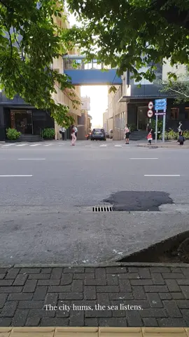 #city #colombo #srilanka #busy #street 