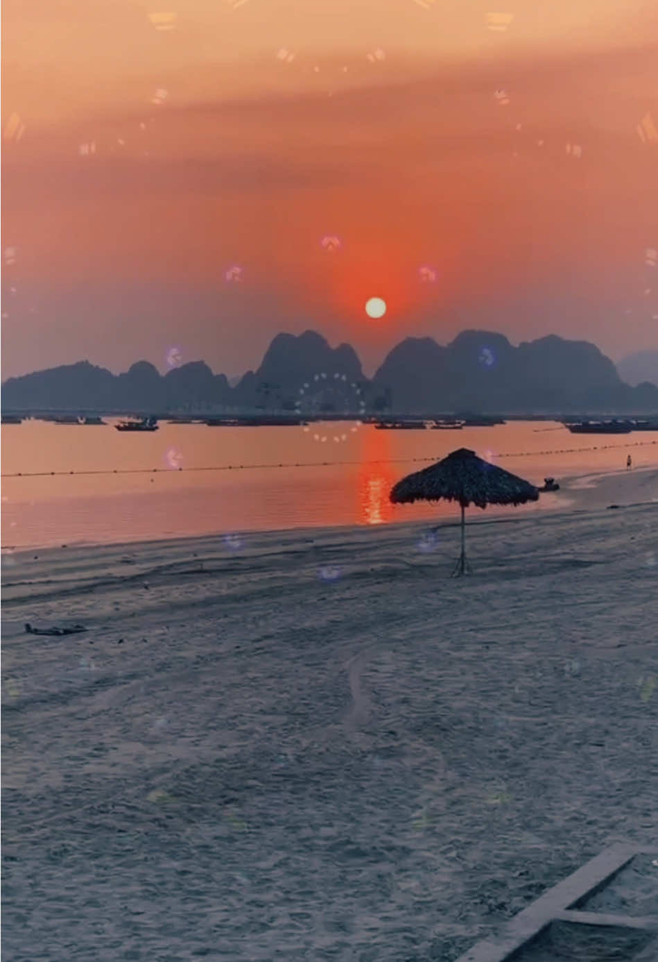 Sáng ra nước t.i.ể.u vàng khe.. Phải chăng trời đã chuyển hè sang thu.. Chiều về thấy kiến nó bu..Ôi thôi bỏmịe trong ku có đường #troithucampha #relaxtime #ttp #fetaminn_muzik #chill 