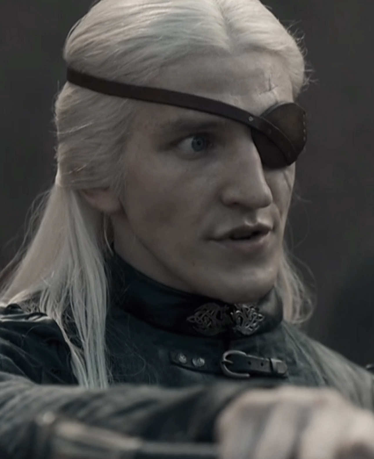 #aemondtargaryen #daemontargaryen #houseofthedragon #تيم_لونارز🌒 #fyp 