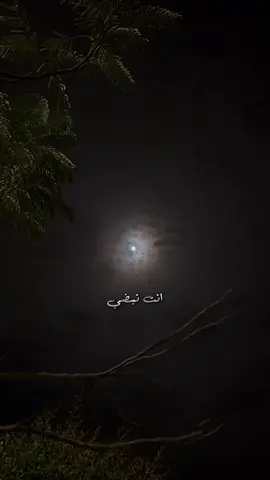 #نادر_الشراري #شيلات #الصوره #انت_نبضي_وانت_روحي #🤍 