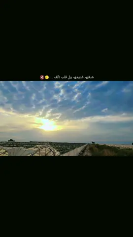 #تصويري_احترافي_الاجواء👌🏻🕊😴 #