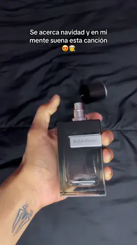 Se acerca navidad y en mi mente suena esta canción 😍 #perfumestiktok #perfumecollection #perfumesmasculinos #navidad #otoñoinvierno 